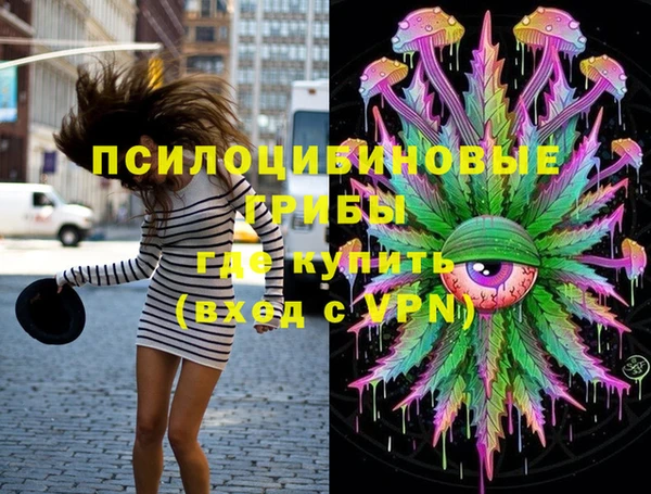 ПСИЛОЦИБИНОВЫЕ ГРИБЫ Лагань