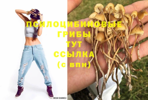 дурь Красноперекопск