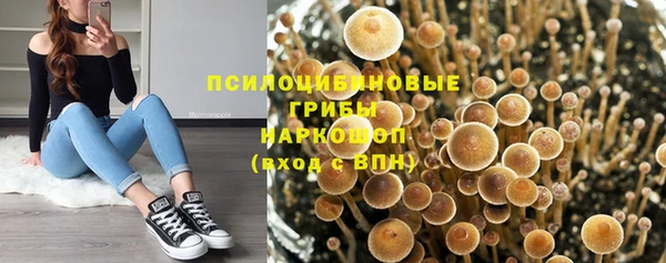 хмурый Краснослободск