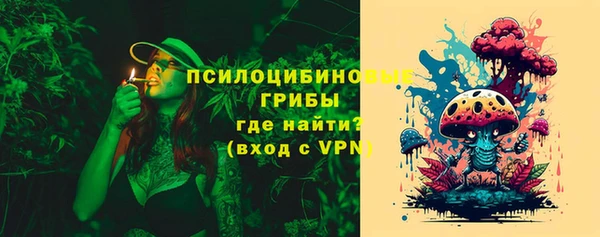 ПСИЛОЦИБИНОВЫЕ ГРИБЫ Лагань