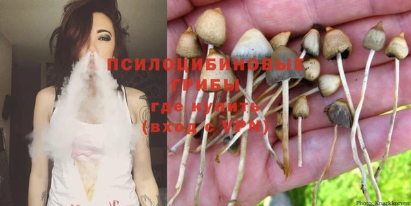 ПСИЛОЦИБИНОВЫЕ ГРИБЫ Лагань