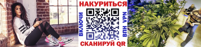 купить наркоту  Краснозаводск  Канабис конопля 